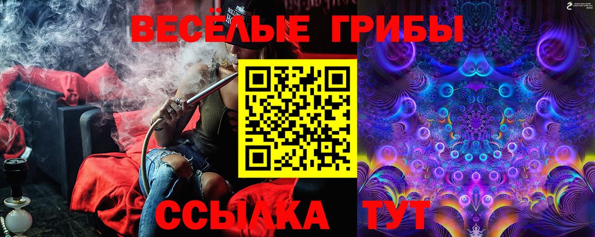 Пушкино  Псилоцибиновые грибы мухоморы  Вход с VPN 
